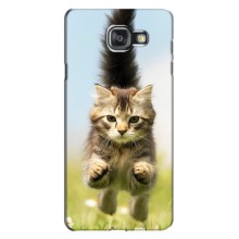 Чехлы с Котиками для Samsung Galaxy A7 2016 / A7100 / A710F (VPrint) (Прыжок кота)