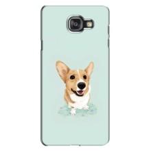 Чехлы с собаками для Samsung Galaxy A7 2016 / A7100 / A710F (VPrint) (Корги)