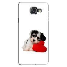 Чехлы с собаками для Samsung Galaxy A7 2016 / A7100 / A710F (VPrint) (Песик)