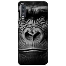 Чохли з Горилою на Самсунг А70 (2019) – Чорна мавпа
