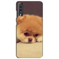 Чехол (ТПУ) Милые собачки для Samsung Galaxy A70 2019 (A705F) – Померанский шпиц