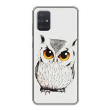 Чохол з пташками на Samsung Galaxy A71 (A715) (VPrint) (Мила Сова)
