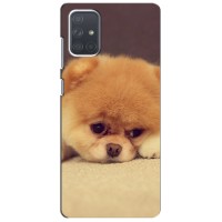 Чехол (ТПУ) Милые собачки для Samsung Galaxy A71 (A715) (Померанский шпиц)