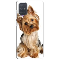 Чехол (ТПУ) Милые собачки для Samsung Galaxy A71 (A715) (Собака Терьер)