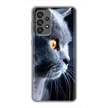 Чехлы с Котиками для Samsung Galaxy A73 (5G) (VPrint) (Серый Кот)