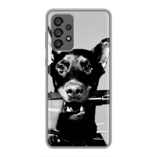 Чохол ДОБЕРМАН  для Samsung Galaxy A73 (5G) (Небезпечний доберман)