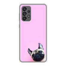 Бампер для Samsung Galaxy A73 (5G) з картинкою "Песики" – Собака на рожевому