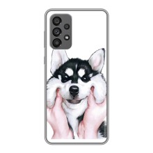 Бампер для Samsung Galaxy A73 (5G) з картинкою "Песики" – Собака Хаскі