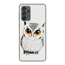 Чехол с птицами на Samsung Galaxy A73 (5G) (VPrint) (Милая Сова)