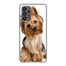Чохол (ТПУ) Милі песики для Samsung Galaxy A73 (5G) (Пес Терьєр)