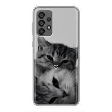 Чехол с рисунком кот на Samsung Galaxy A73 (5G) (Пара котов)
