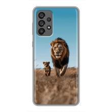 Чохол Король лев на Самсунг Галаксі 73 (5G) – Мусафа і Сімба