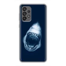 Силиконовый бампер с картинкой животных для Samsung Galaxy A73 (5G) (Пасть Акулы)