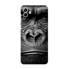 Чохли з Горилою на Самсунг Ф04 – Чорна мавпа