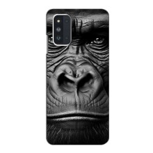 Чохли з Горилою на Самсунг Ф52 – Чорна мавпа