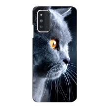 Чохли з Котиками для Samsung Galaxy F52 5G (E526) (VPrint) (Сірий Кіт)