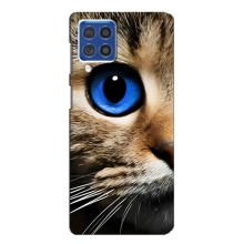 Чехлы с Котиками для Samsung Galaxy F62 (VPrint) (Глаз кота)