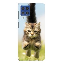 Чехлы с Котиками для Samsung Galaxy F62 (VPrint) (Прыжок кота)