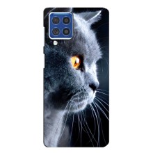Чехлы с Котиками для Samsung Galaxy F62 (VPrint) (Серый Кот)