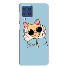 Чехол на Самсунг Ф62 с Котами (VPrint) (Котик в очках)