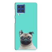 Бампер для Samsung Galaxy F62 с картинкой "Песики" – Собака Мопс