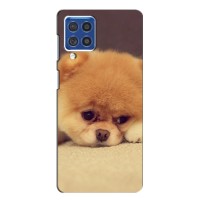 Чехол (ТПУ) Милые собачки для Samsung Galaxy F62 – Померанский шпиц