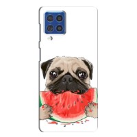Чехол (ТПУ) Милые собачки для Samsung Galaxy F62 (Смешной Мопс)