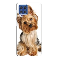 Чехол (ТПУ) Милые собачки для Samsung Galaxy F62 (Собака Терьер)