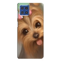 Чехол (ТПУ) Милые собачки для Samsung Galaxy F62 – Йоршенский терьер