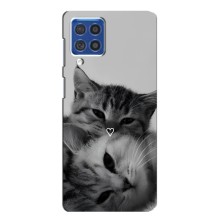 Чехол с рисунком кот на Samsung Galaxy F62 (Пара котов)
