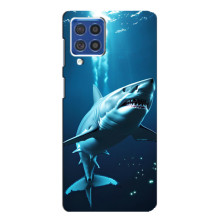 Чехол с картинкой «Хищники» для Samsung Galaxy F62 – Акула