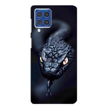 Чехол с картинкой «Хищники» для Samsung Galaxy F62 – Змея