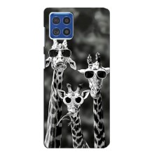 Силиконовый чехол с КАРТИНКАМИ лето для Samsung Galaxy F62 (AlphaPrint) (Жирафы в очках)