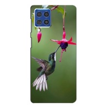Силиконовый чехол с птичкой на Samsung Galaxy F62 – Калибри