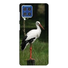 Силиконовый чехол с птичкой на Samsung Galaxy F62 – Лелека