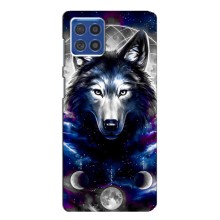 Защитные чехлы для Самсунг Ф62 (AlphaPrint) (ХИТ продаж) ВОЛК (Волк)