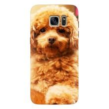 Чехлы с собаками для Samsung Galaxy S7 Еdge / G935 (VPrint) (Щенок Бишон)