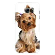 Чехол (ТПУ) Милые собачки для Samsung Galaxy S7 Еdge / G935 (Собака Терьер)