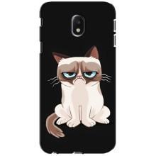 Чехол на тематику: Коты для Samsung Galaxy J3 2017 (J330FN европейская версия) – Взгляд кота