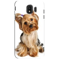 Чехол (ТПУ) Милые собачки для Samsung Galaxy J4 2018, SM-J400F (Собака Терьер)