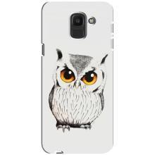 Чохол з пташками на Samsung Galaxy J6 2018, J600F (VPrint) (Мила Сова)