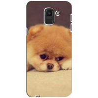 Чехол (ТПУ) Милые собачки для Samsung Galaxy J6 2018, J600F (Померанский шпиц)