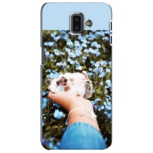 Чохли з зображенням різних тварин на Samsung Galaxy J6 Plus, J6 Plus, J610 (Їжачок в руці)