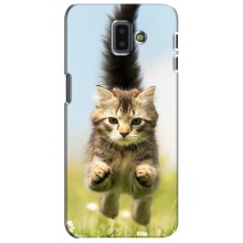 Чехлы с Котиками для Samsung Galaxy J6 Plus, J6 Plus, J610 (VPrint) (Прыжок кота)