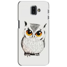 Чехол с птицами на Samsung Galaxy J6 Plus, J6 Plus, J610 (VPrint) (Милая Сова)
