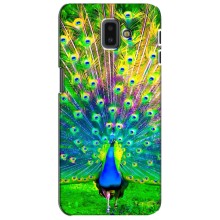Чехол с птицами на Samsung Galaxy J6 Plus, J6 Plus, J610 (VPrint) (Яркий Павлин)