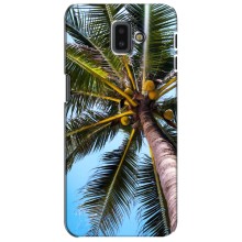 Силиконовый чехол с КАРТИНКАМИ лето для Samsung Galaxy J6 Plus, J6 Plus, J610 (AlphaPrint) (Пальма)