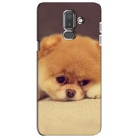 Чехол (ТПУ) Милые собачки для Samsung Galaxy J8-2018, J810 – Померанский шпиц