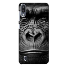 Чехлы с Горилой на Самсунг М10 – Черная обезьяна