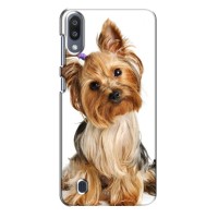 Чехол (ТПУ) Милые собачки для Samsung Galaxy M10 (M105) – Собака Терьер